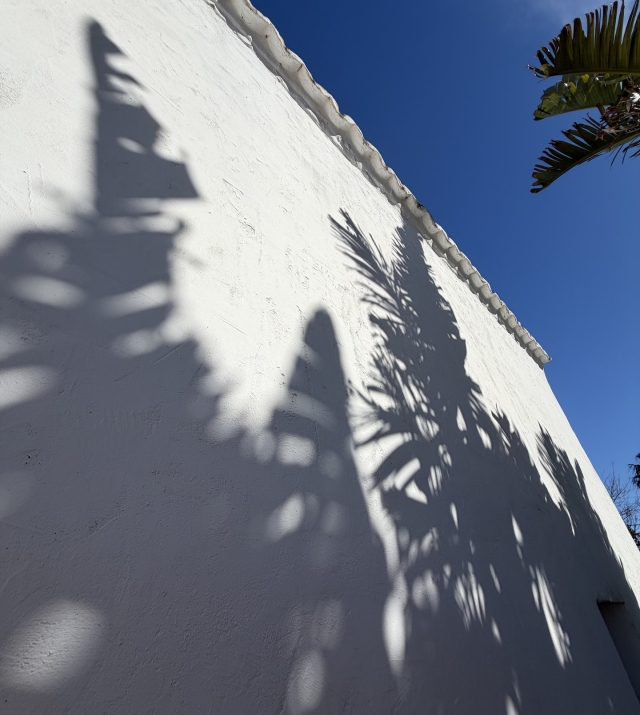 Resa Estates Finca san Miguel for sale offline 3.jpeg